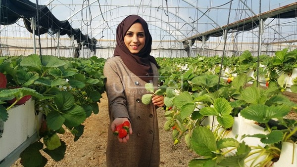 Sanaa Jalmaneh